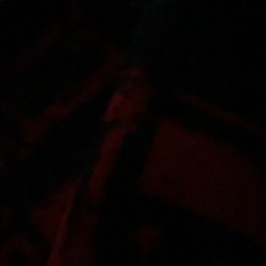 Meet your Posher, Tia